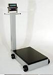 Cardinal 5852F and 8852F Portable Floor
                        Scales