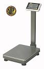 Intelligent Weighing Mild Steel Portable
                        Floor Scales