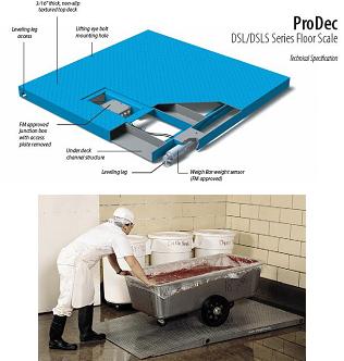 Avery Weigh-Tronix ProDec Series Floor
                        Scales