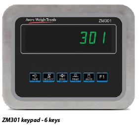 Avery Weigh-Tronix ZM301
                              Weight Indicator